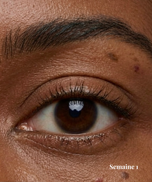 Sérum Haute Régénération Cils – Soin Folliculaire