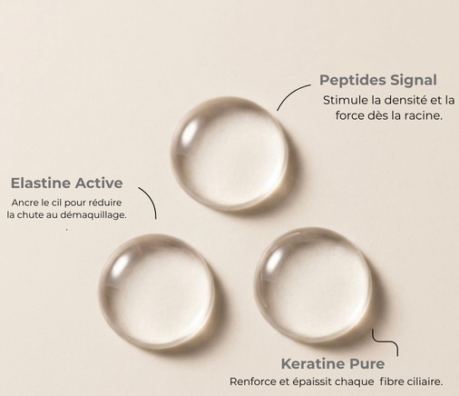 Sérum Haute Régénération Cils – Soin Folliculaire